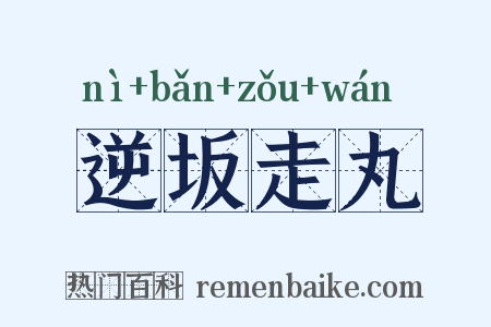 逆坂走丸是什么意思的图片